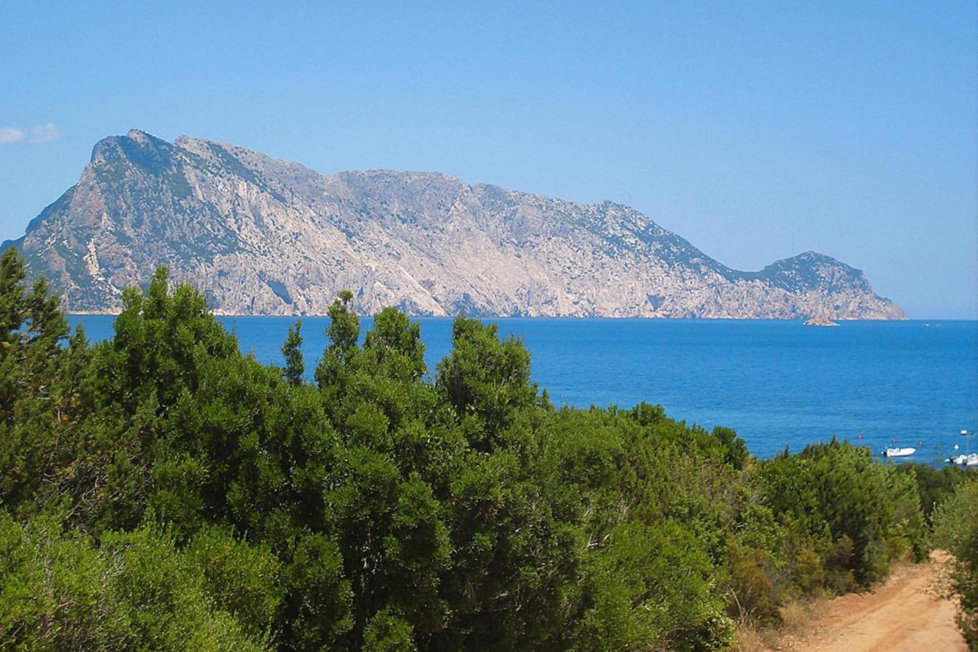 Residence La Tartaruga Monte Petruso San Teodoro San Teodoro  Exteriör bild